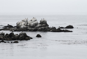 Seaside Landscape